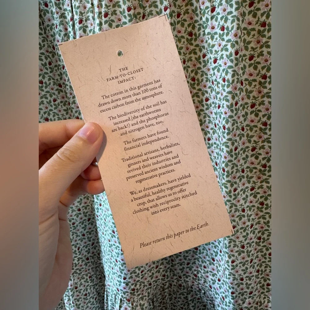 Christy Dawn the Dawn Dress in creme strawberry Large - Picture 9 of 13